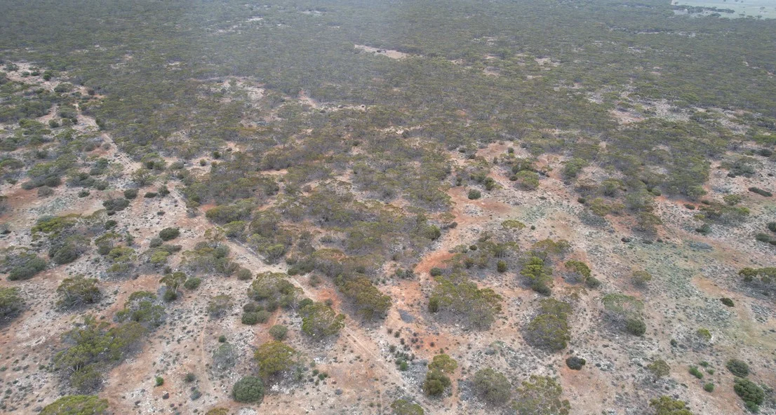 Image 14