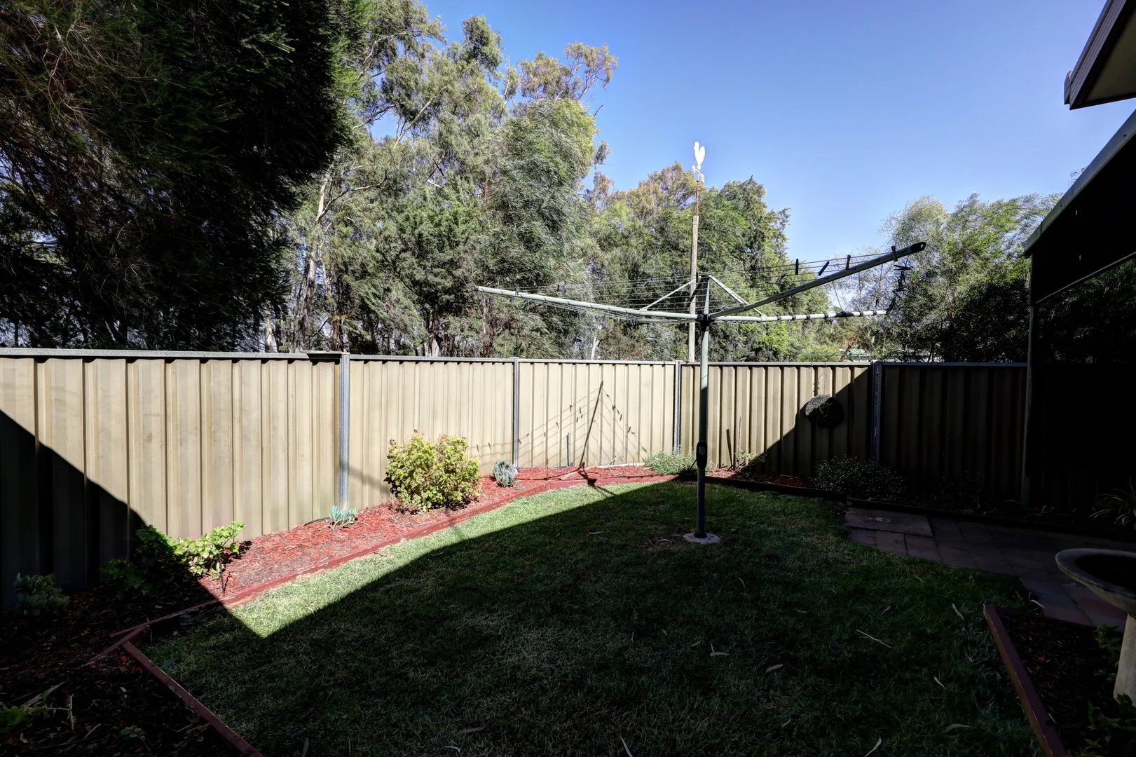 Image 15