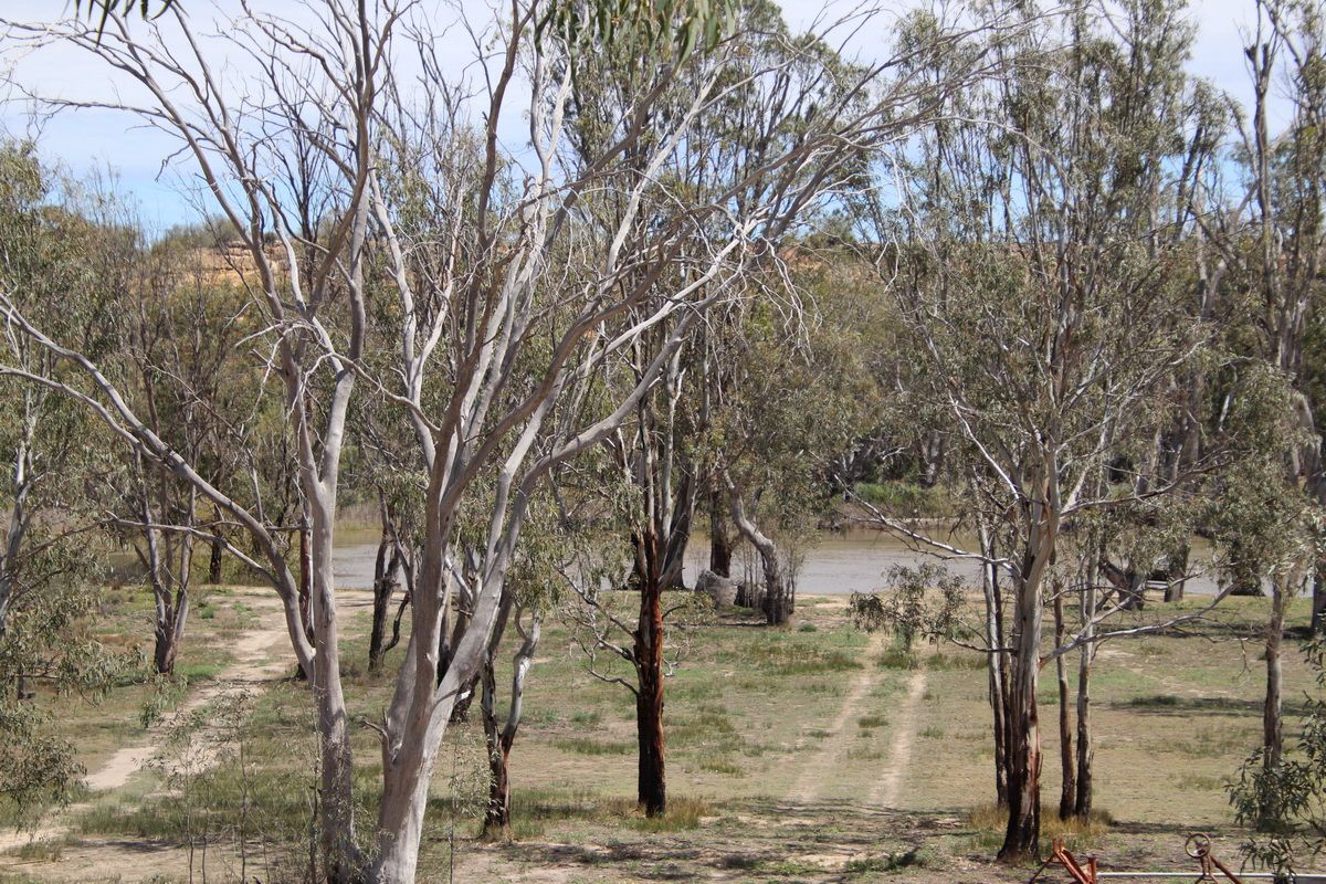 64 Marks Landing Shack Road, Swan Reach SA 5354, Image 1