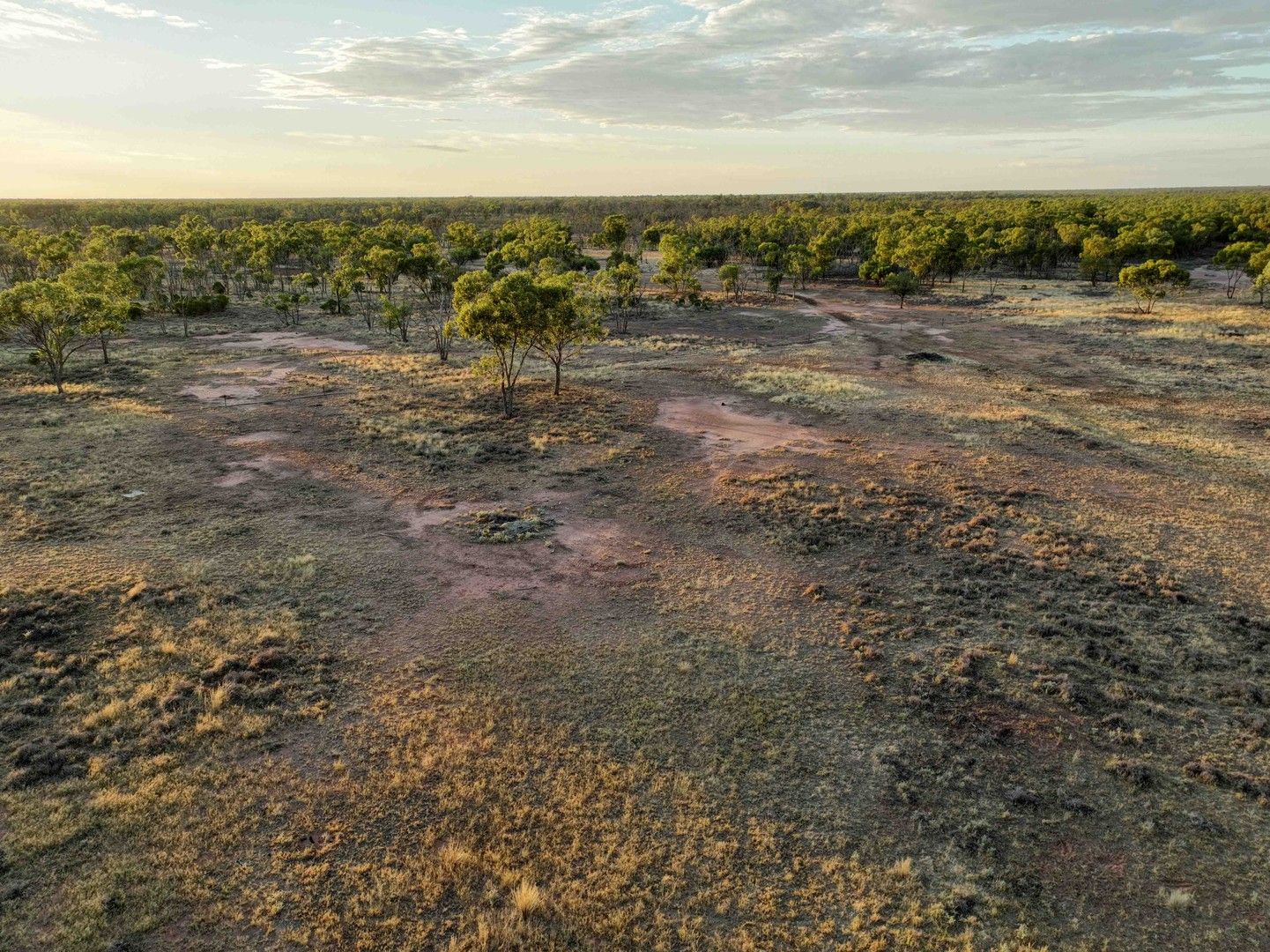 Cunnamulla QLD 4490 House for Sale Domain