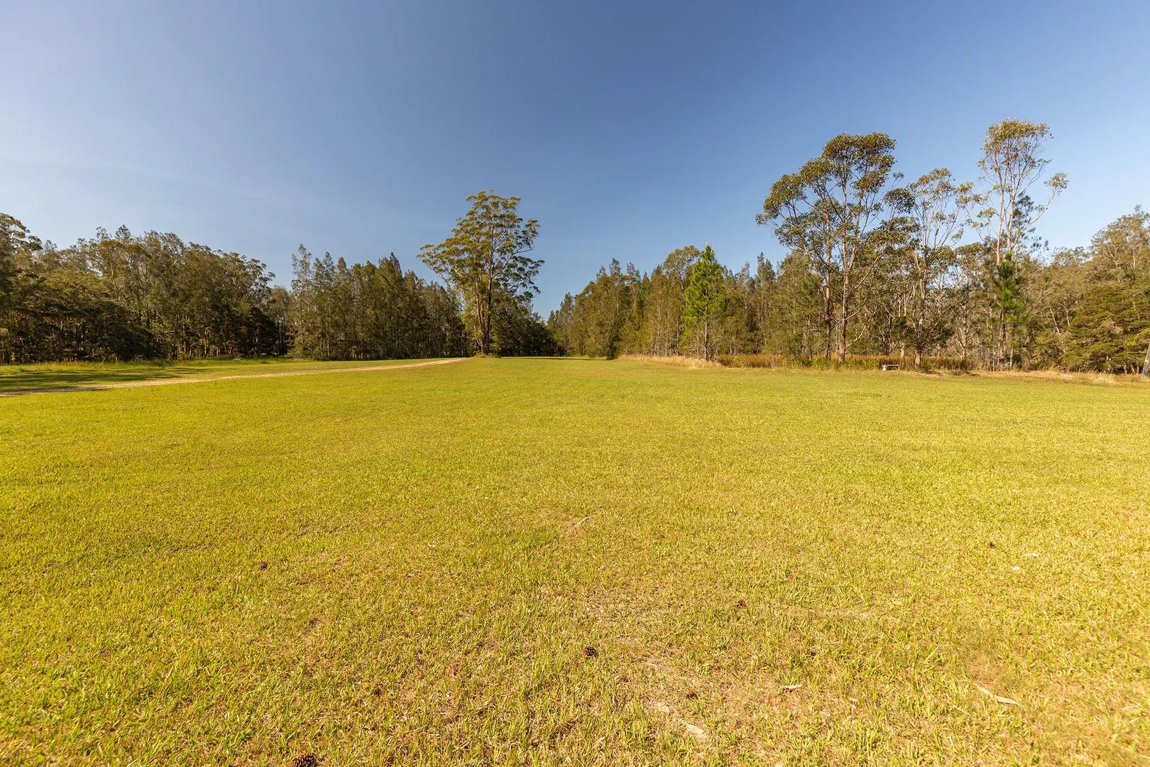 Image 45
