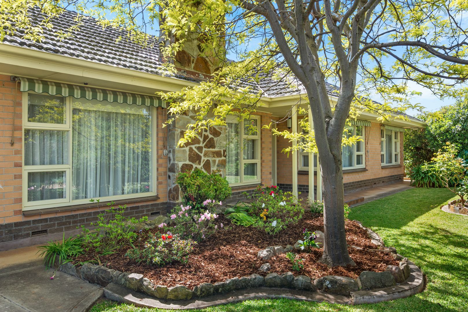 16 Mimosa Drive, Vale Park SA 5081, Image 2