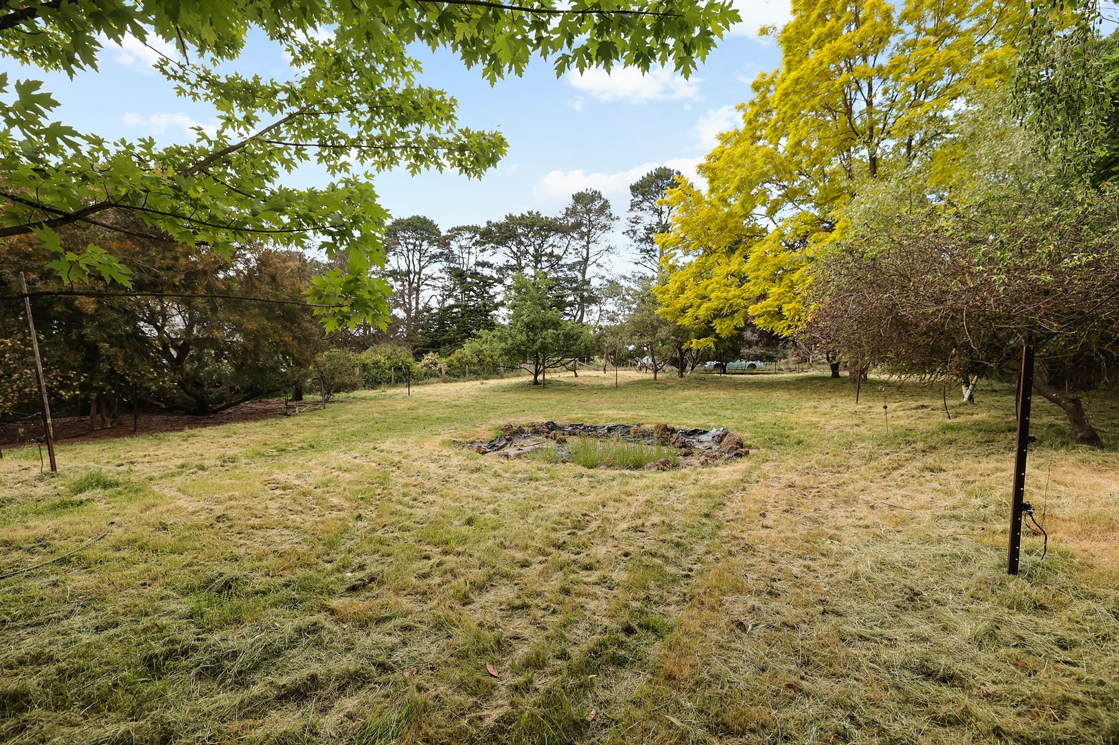 Image 20