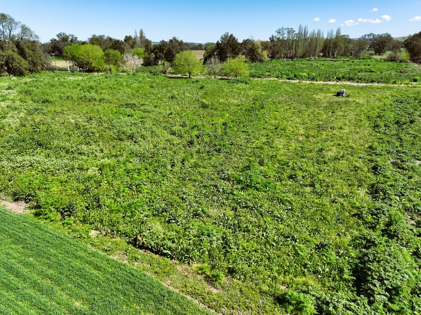 Lot 3 Gaskill Street, Canowindra NSW 2804 Mixed Farming Property for