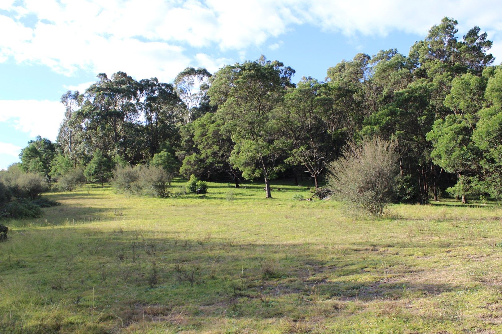 Lot 194 & 195 Princes Hwy, Wolumla NSW 2550, Image 0