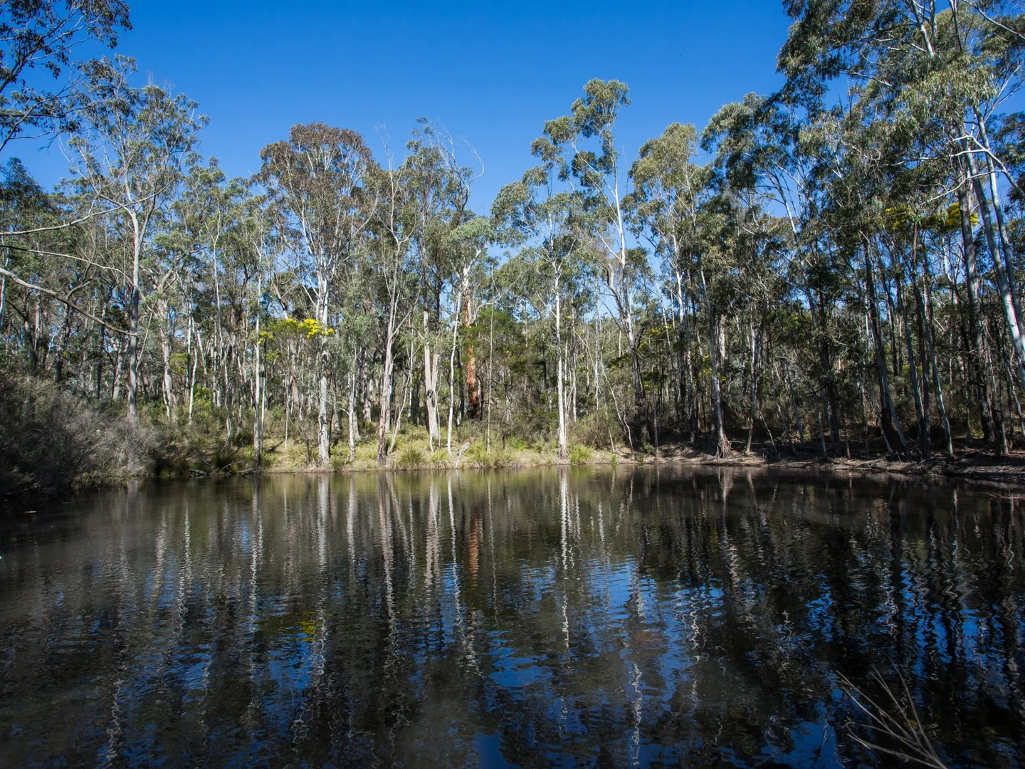 Image 22
