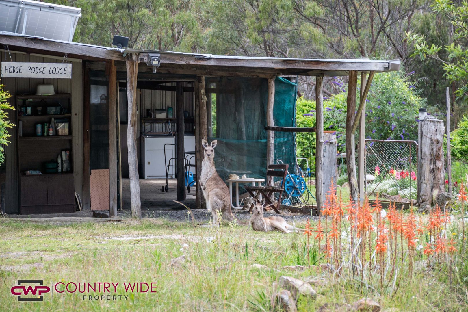 2, 1941 Emmaville Road, Glen Innes NSW 2370, Image 1