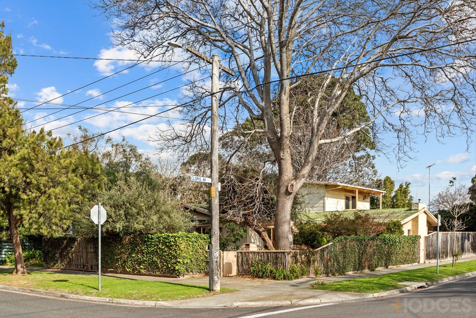 105 Pellatt Street, Beaumaris VIC 3193, Image 0