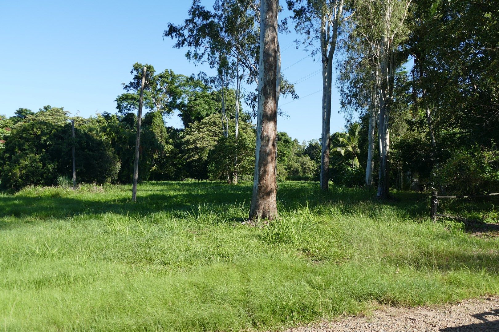 Lot 9 Bauhinia Drive, Carruchan QLD 4816, Image 0