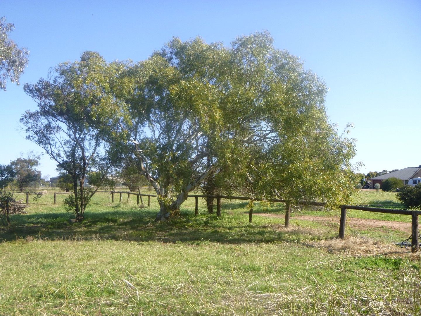 Vacant land in 229 Eastlyn Drive, DEEPDALE WA, 6532