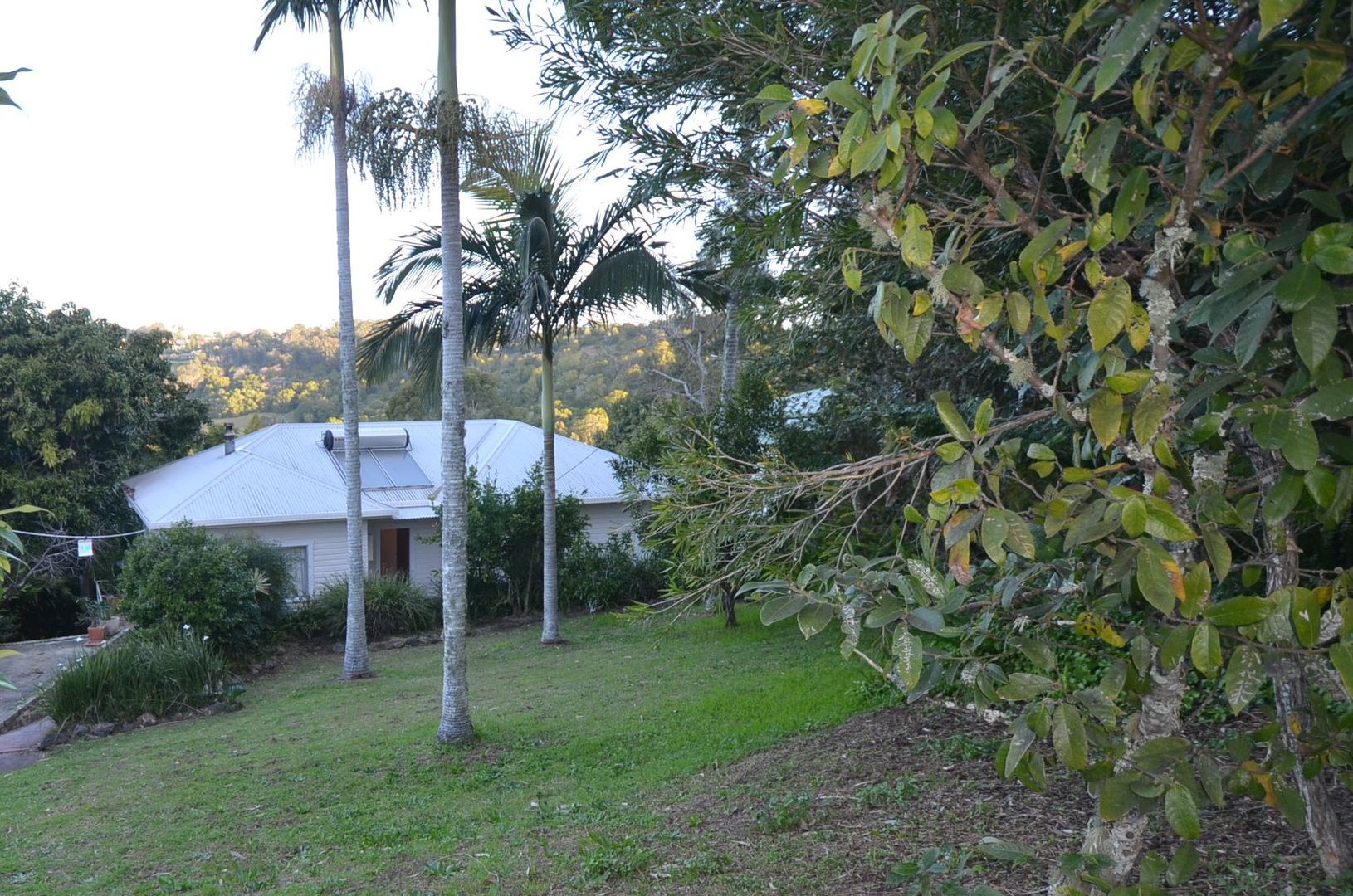 3 Robinson Avenue, Girards Hill NSW 2480