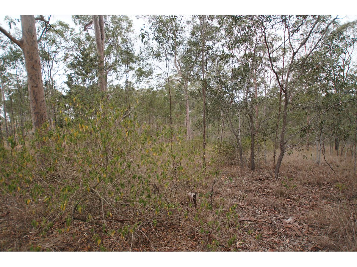 Lot 38 Tillack Road, Gatton QLD 4343, Image 1