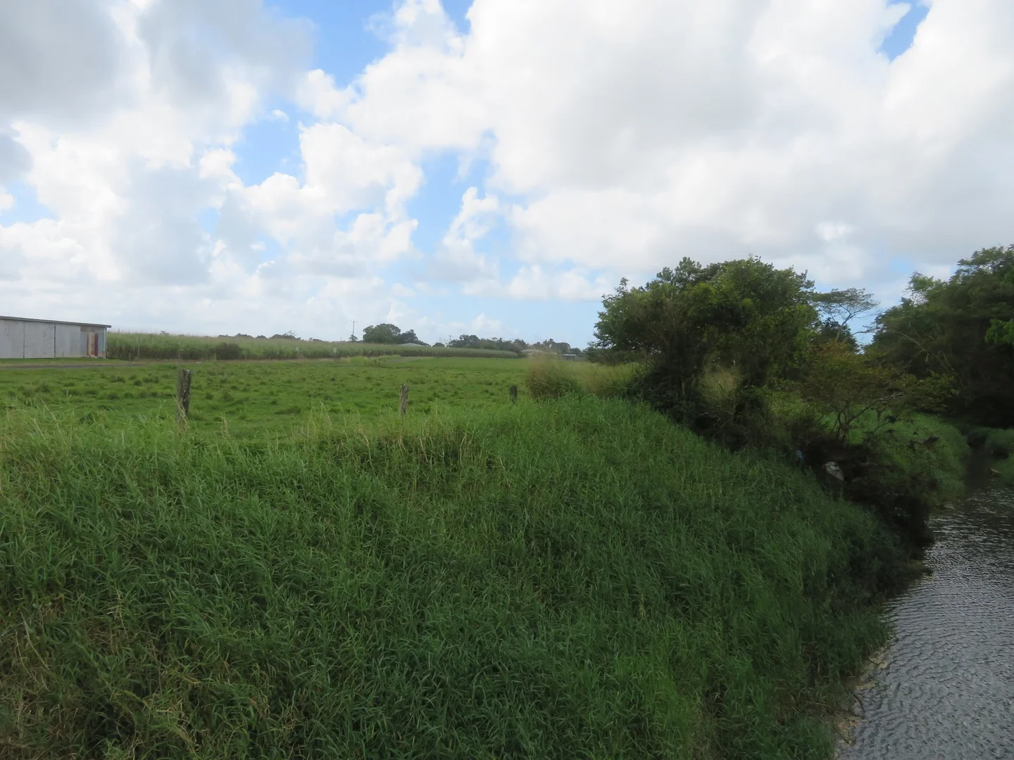 Additional image 13 of 85 Gundah Singh Road, Innisfail QLD 4860