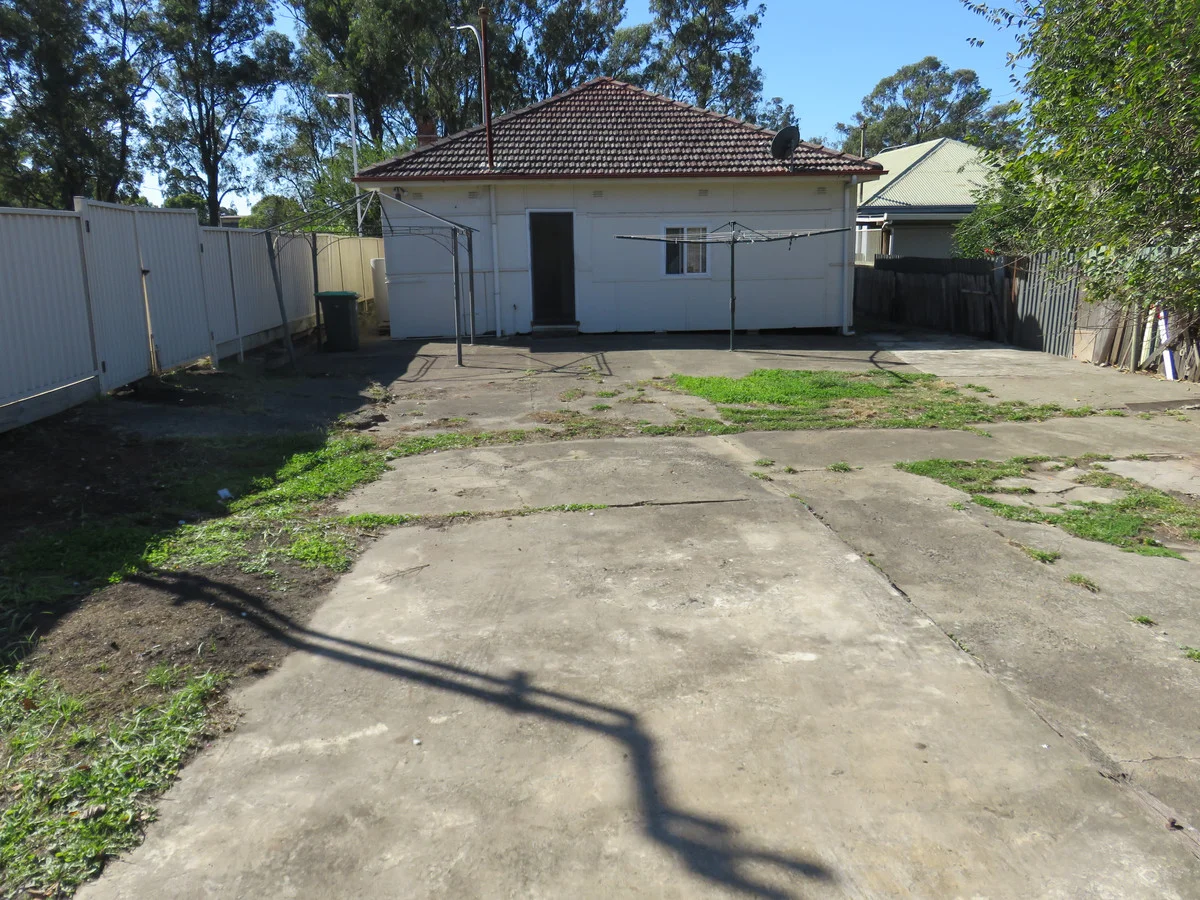 Image 19