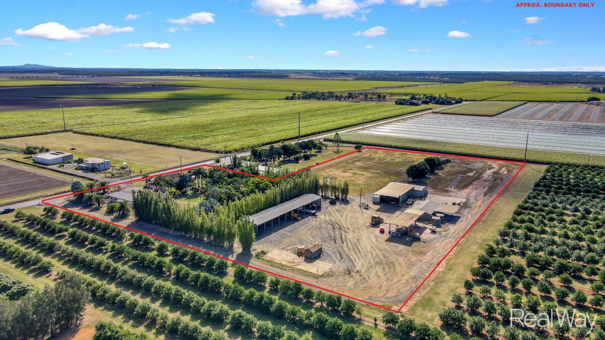 675 Clayton Road, Alloway QLD 4670 House for Sale Domain