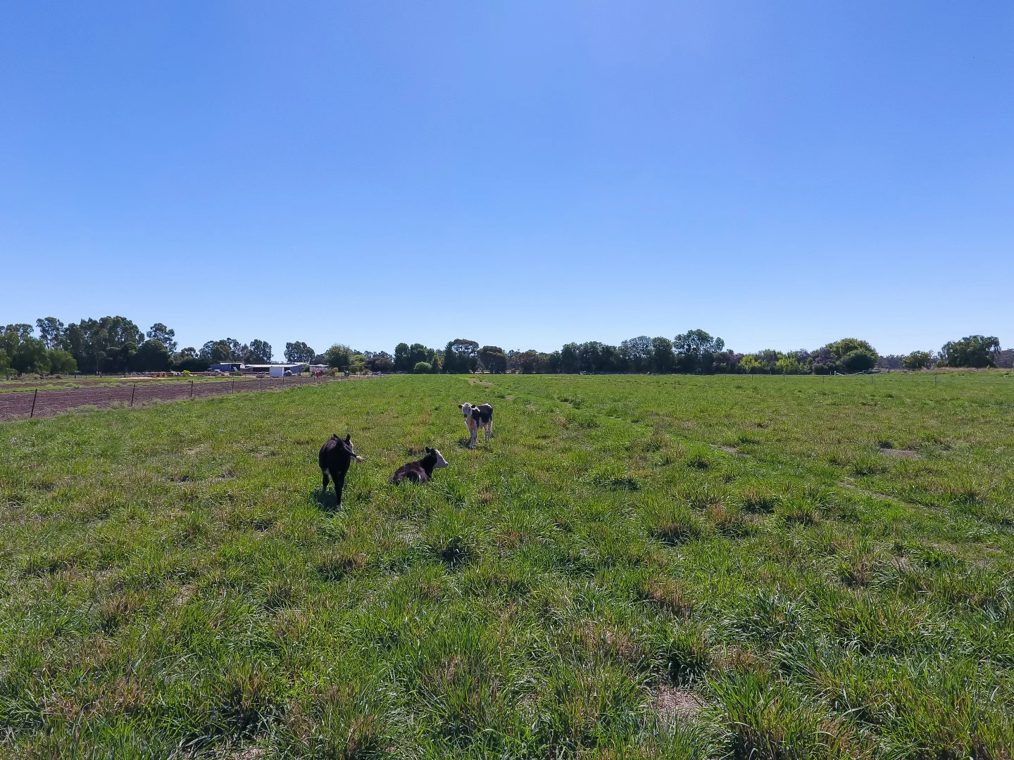 Image 39