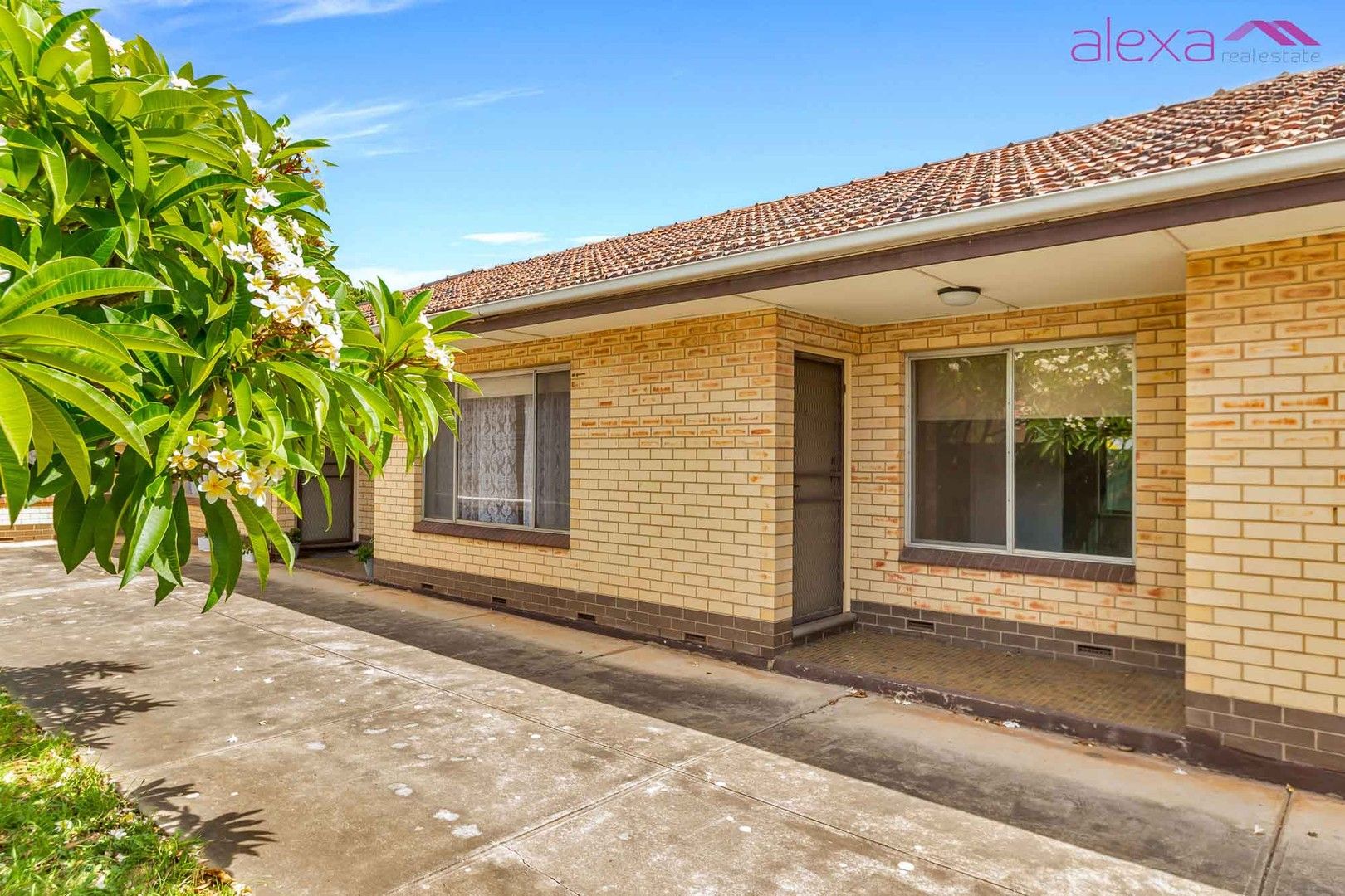 4/31 Marleston Avenue, Ashford SA 5035, Image 0