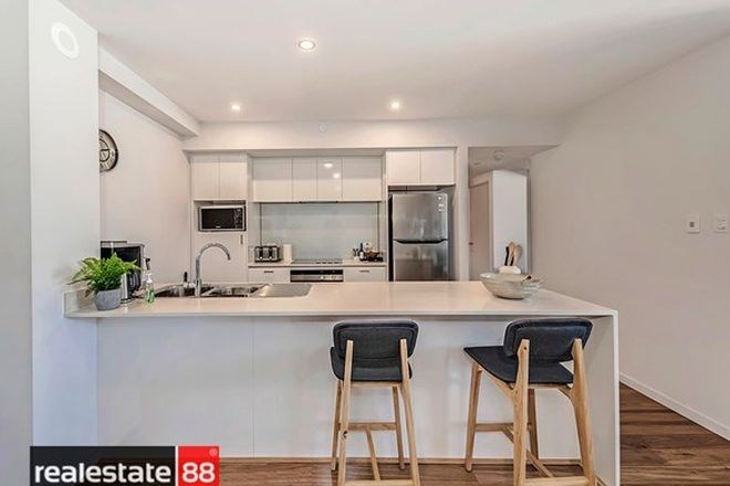 241 Rental Properties In Northbridge Wa 6003 Domain