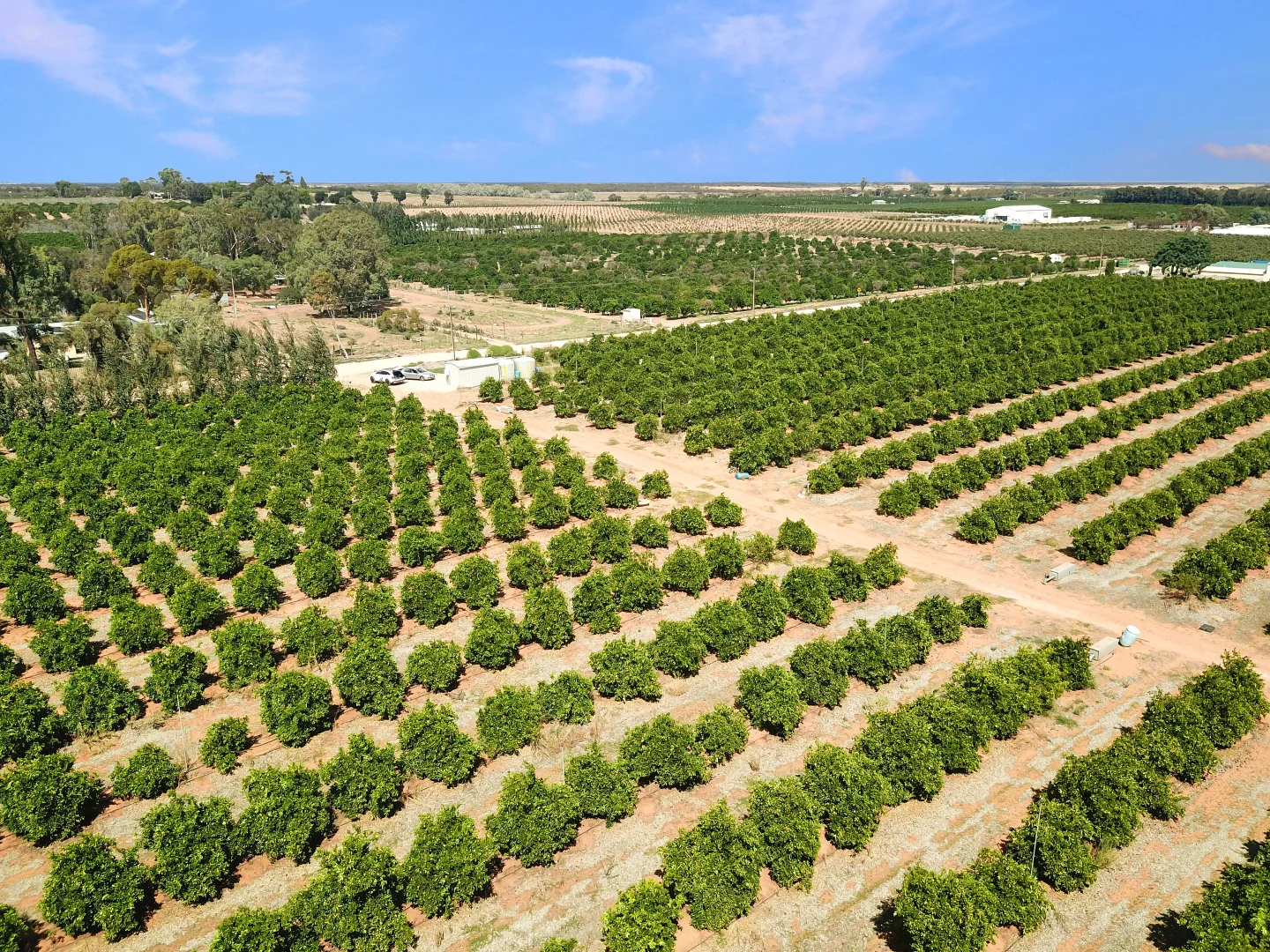 Additional image 11 of Lot 80 Foster Road, Sunlands SA 5322