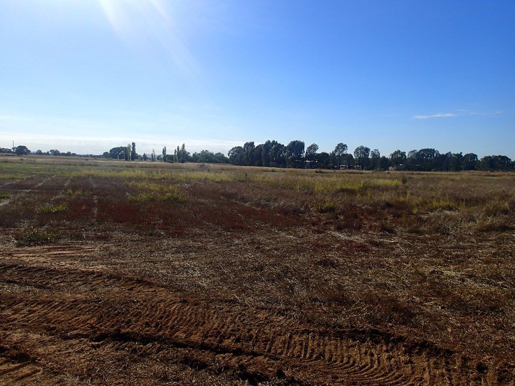 Lot 35 Clydesdale Estate, Rutherglen VIC 3685, Image 0