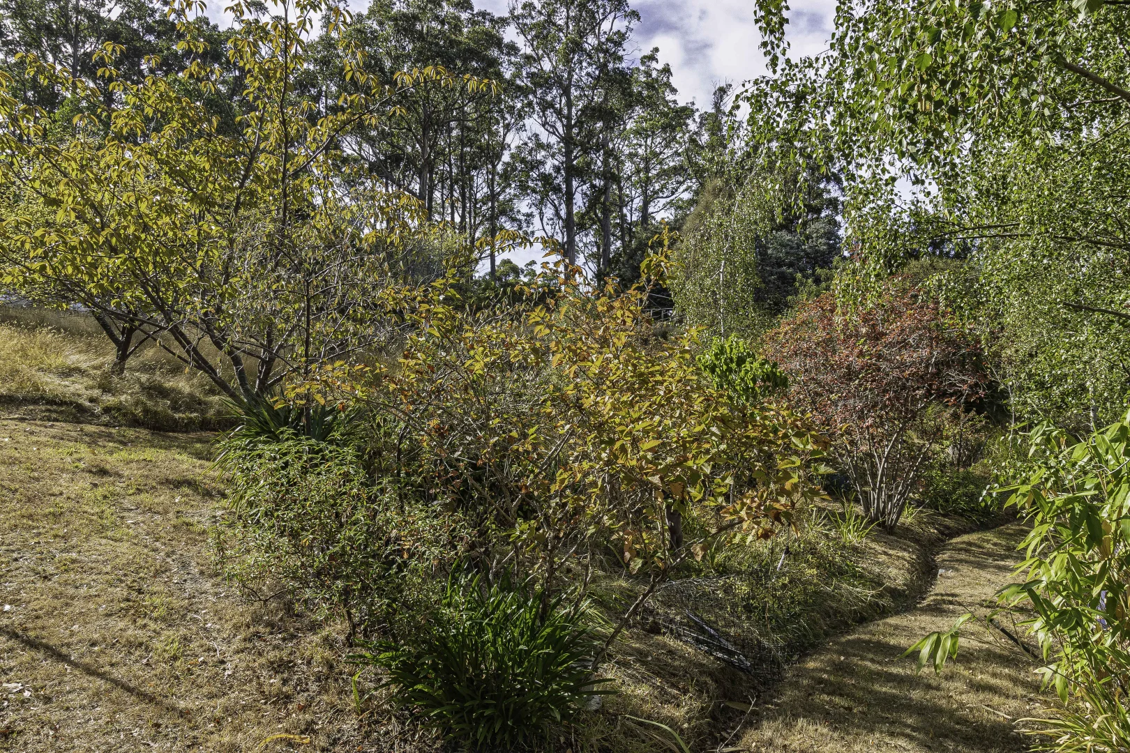 Image 36