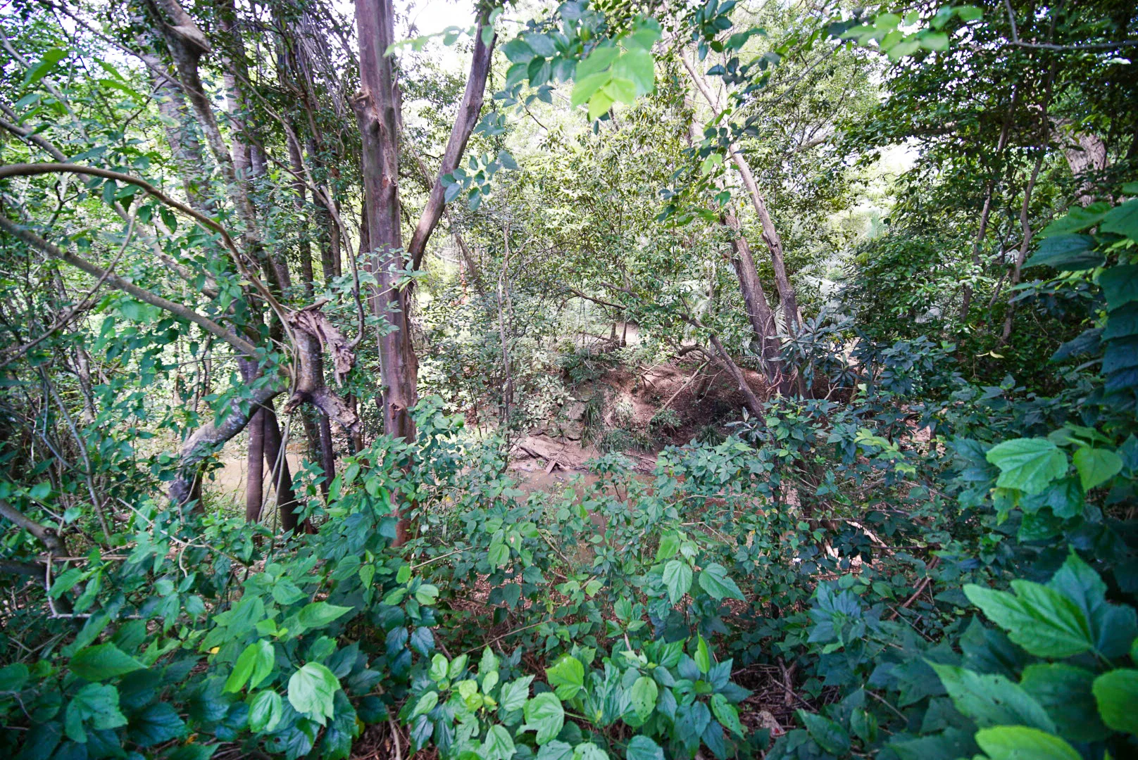 Image 6