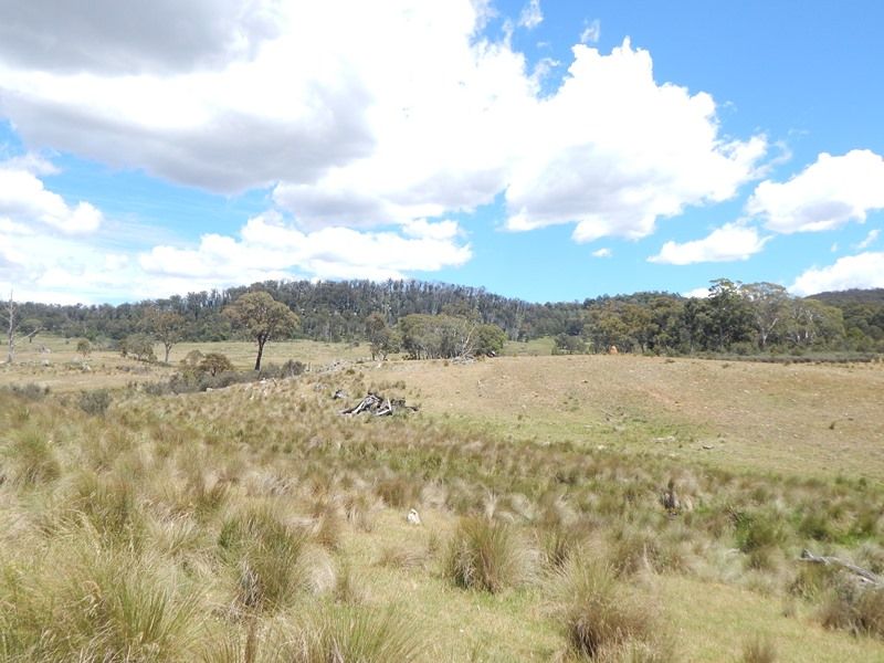 Lot 5 Tuross Road, Kybeyan NSW 2631, Image 2