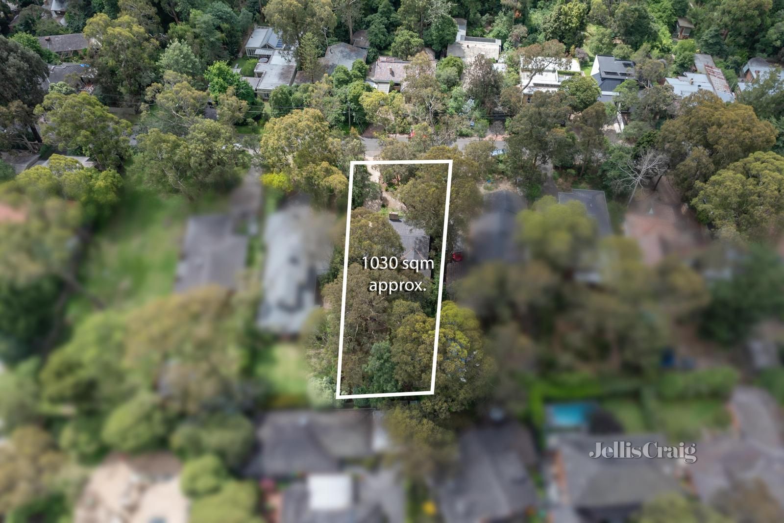 6 Jeffery Street, Blackburn VIC 3130, Image 1