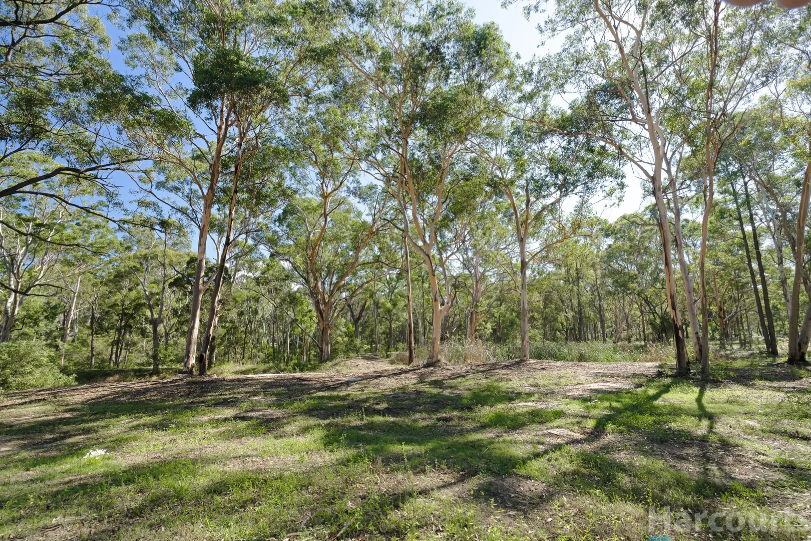Image 14