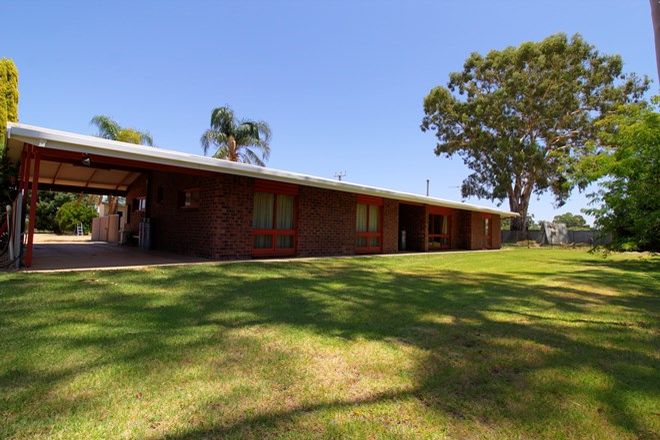 Picture of 234 Loveday Road, LOVEDAY SA 5345