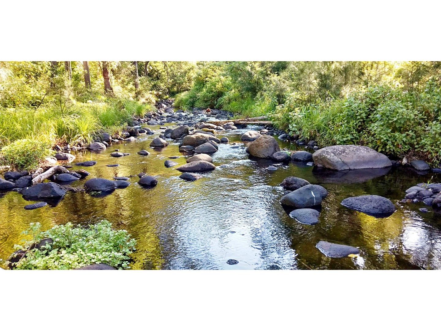 2 bedrooms Rural in 19 Warra Warra Lane WARRAZAMBIL CREEK NSW, 2474
