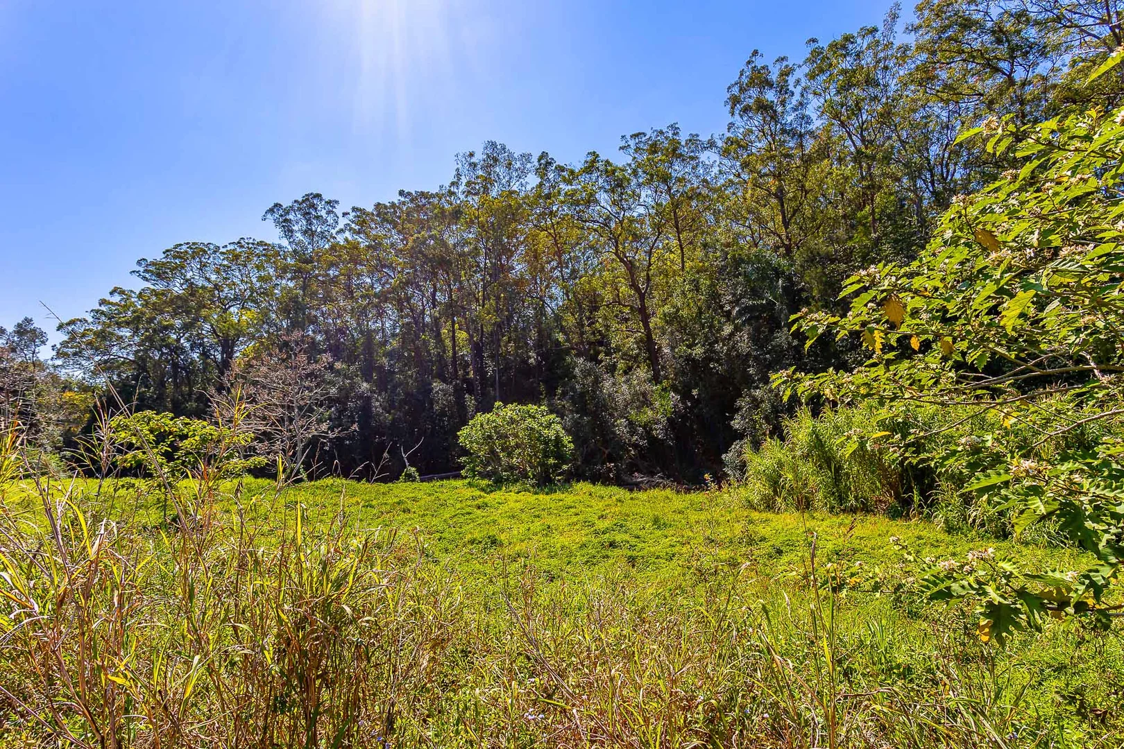 Additional image 25 of 3 Mark Way, Mudgeeraba QLD 4213