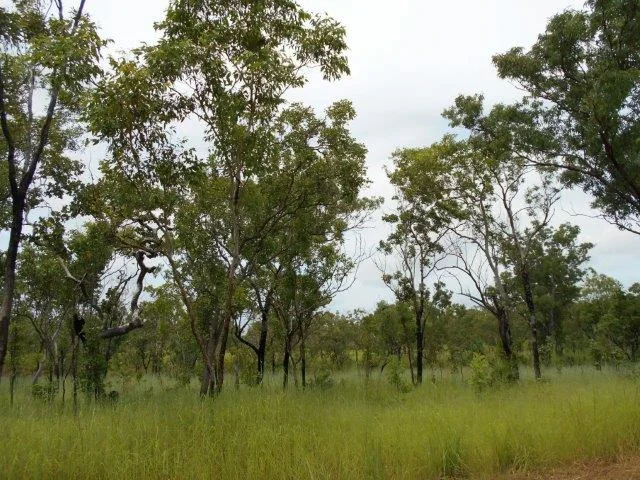 Image 8