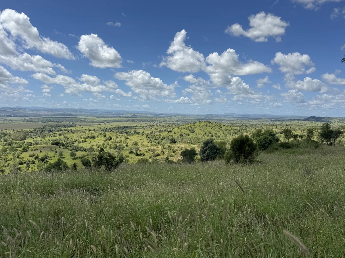 "Mustons" Frawleys Road, Thangool QLD 4716