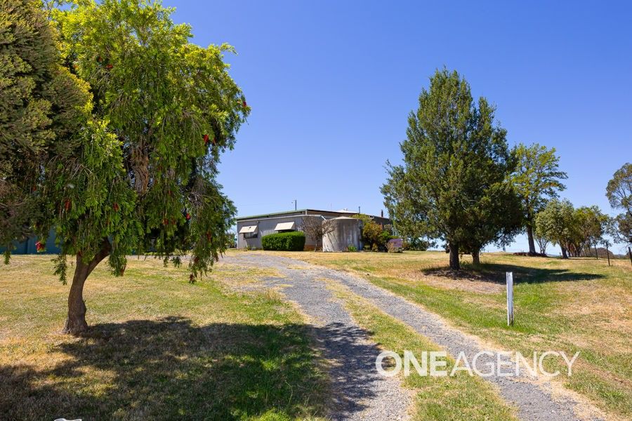 4346 WESTBROOK ROAD, Tarcutta NSW 2652 House for Sale Domain