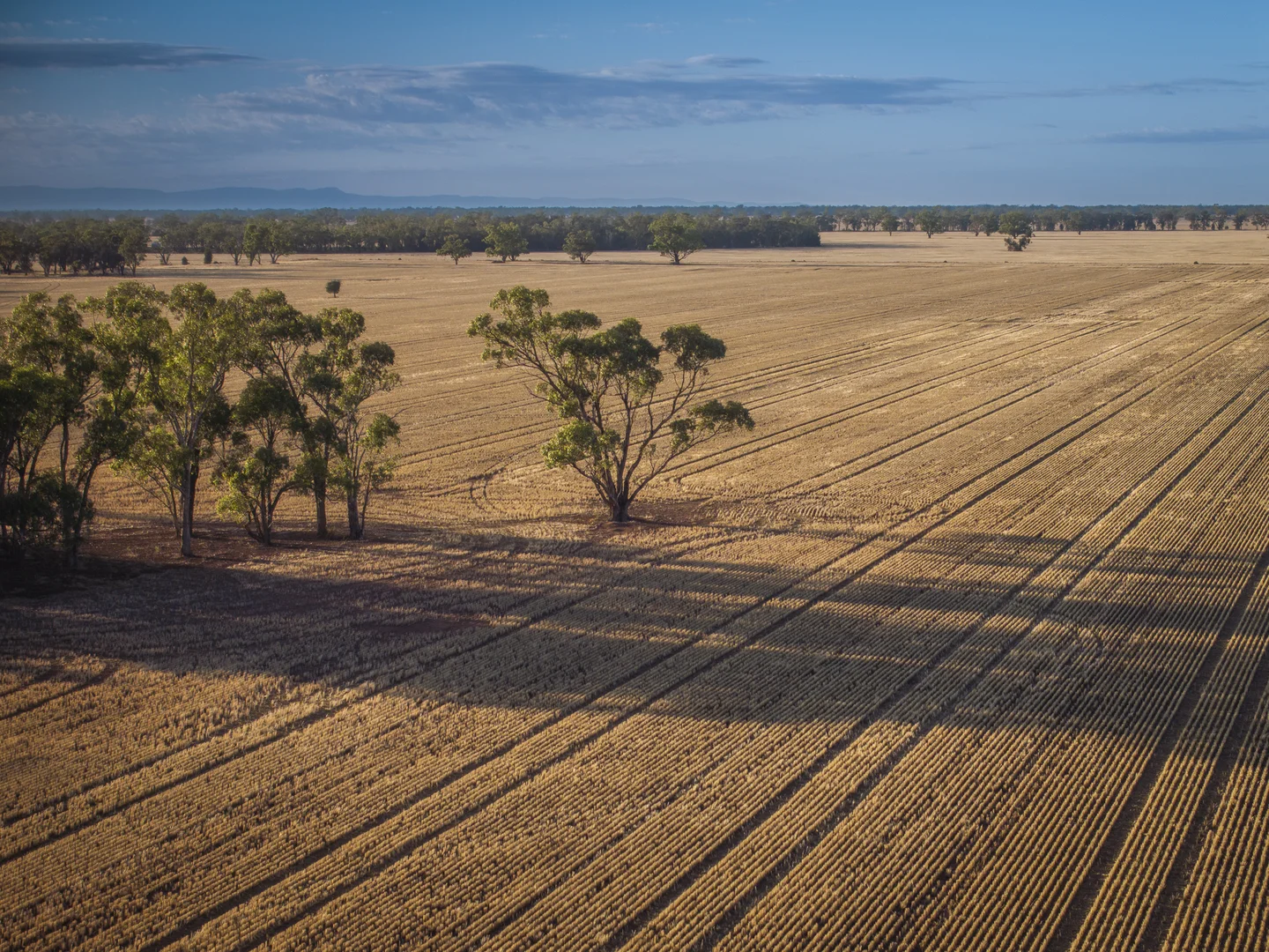 Additional image 6 of 1048 Wyanga Road, Narromine NSW 2821