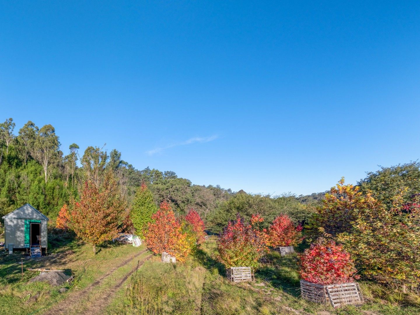 1020 Upper Brogo Road, Brogo NSW 2550, Image 0