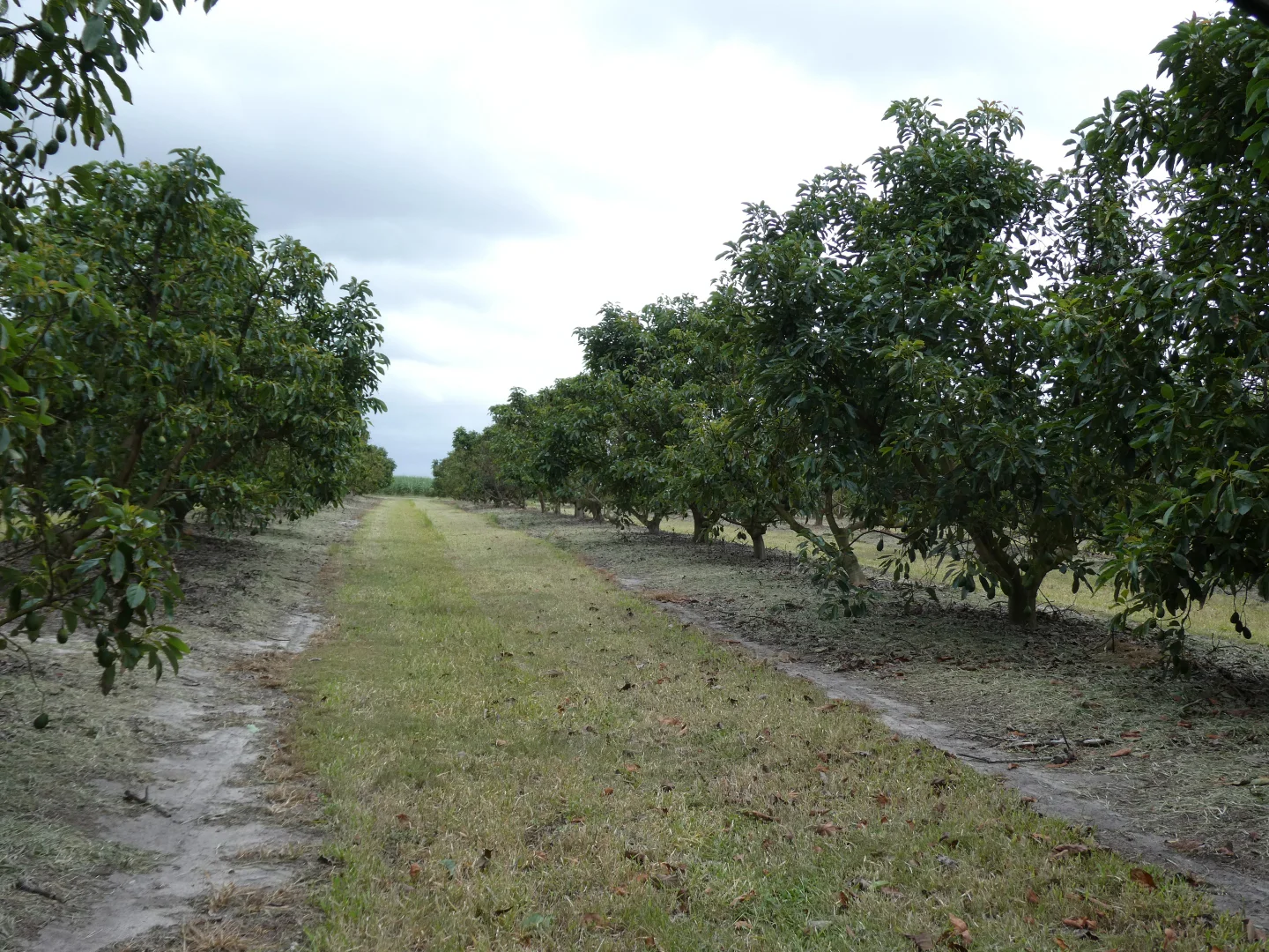 Image 10