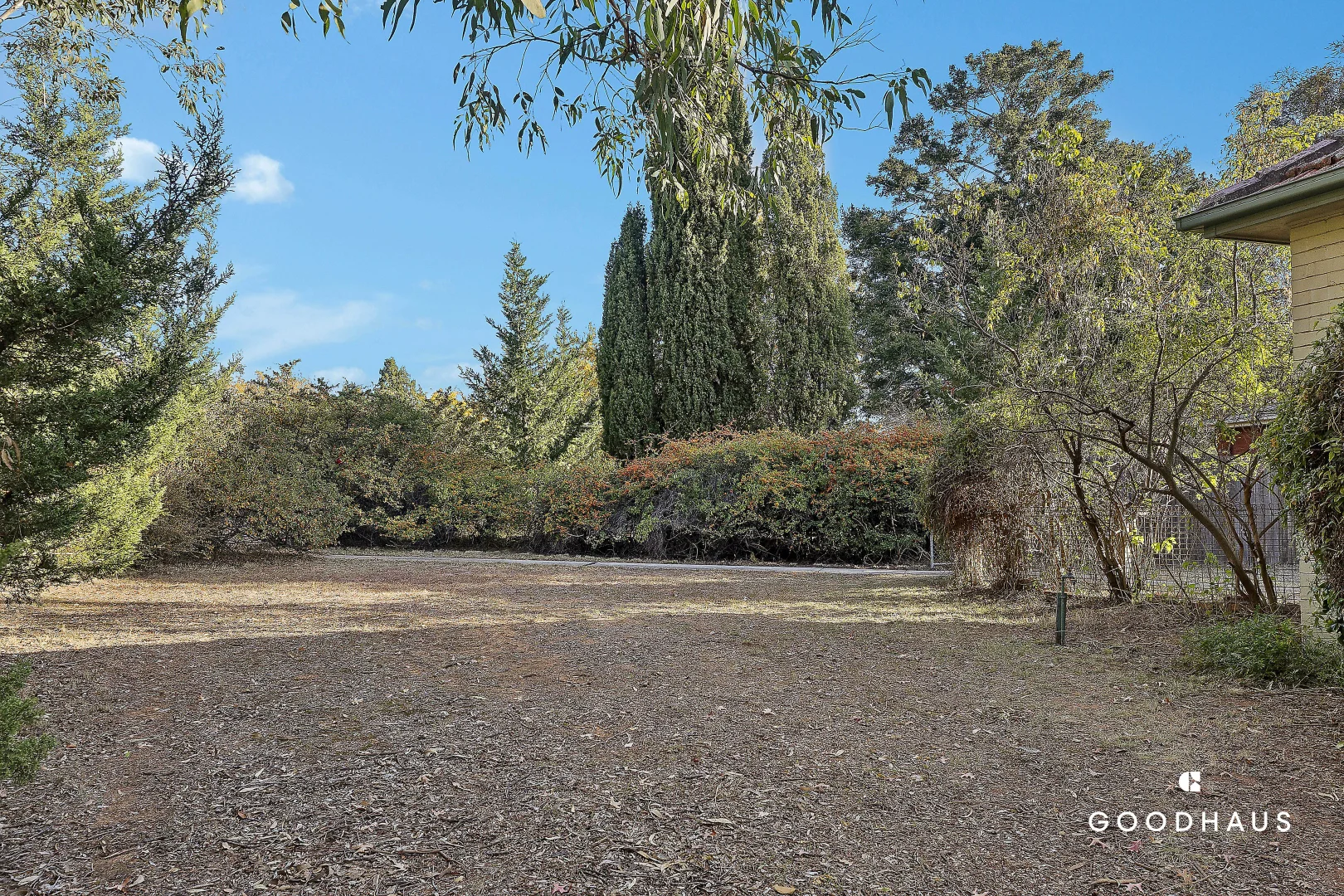 Image 13