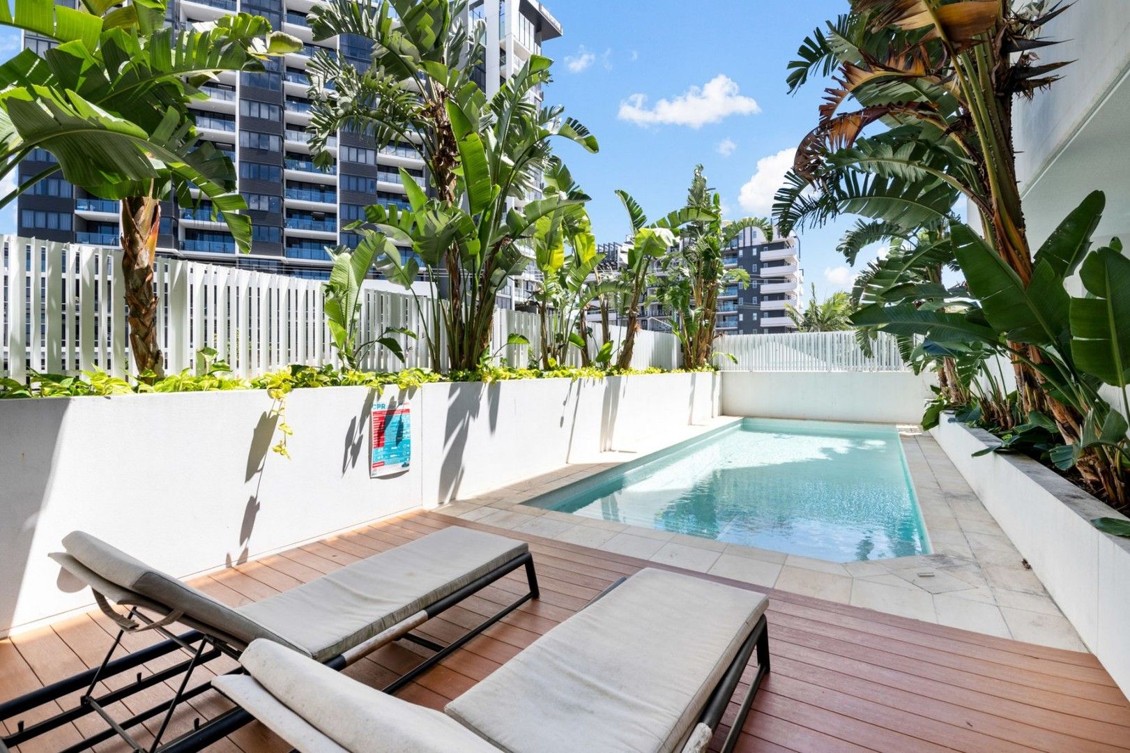 101/8 Holden Street, Woolloongabba QLD 4102, Image 0