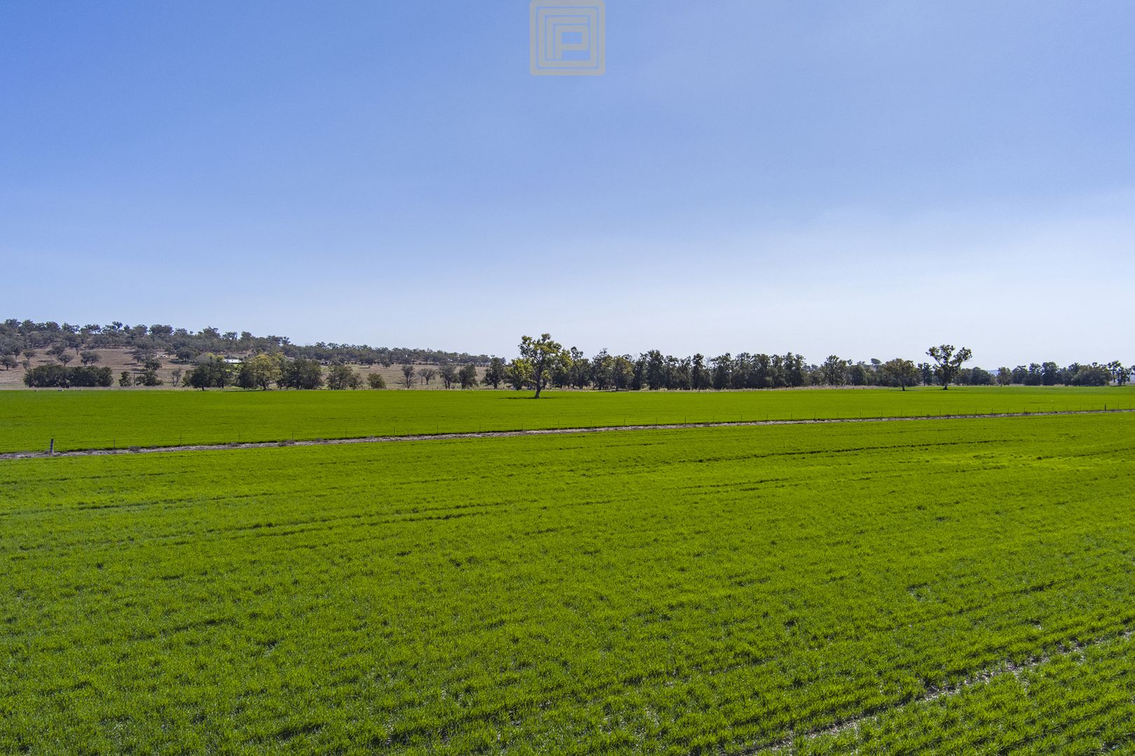 Blackville Road, Willow Tree NSW 2339, Image 1