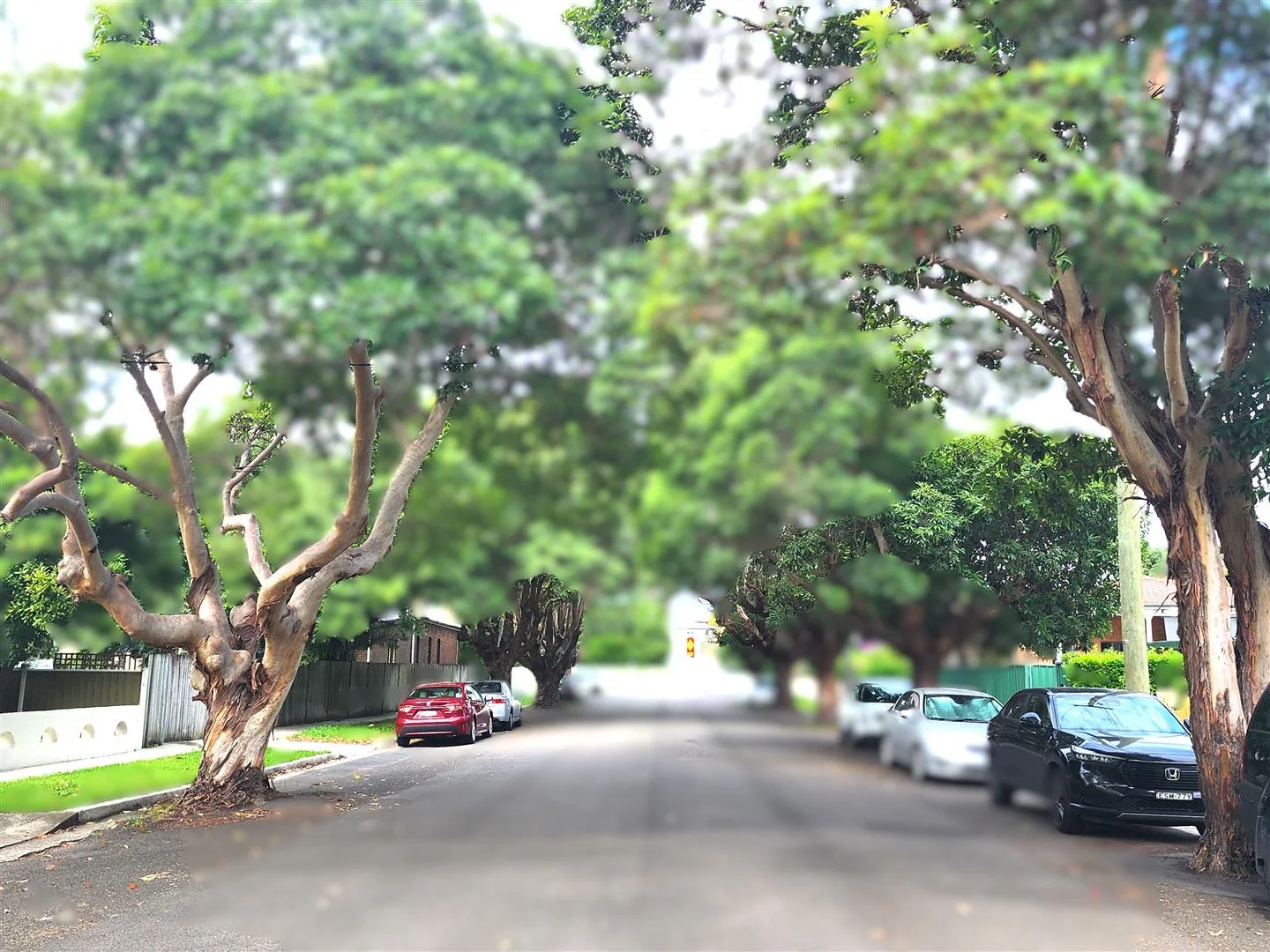 Additional image 10 of Unit 2/6 MacKay Street, Ashfield NSW 2131