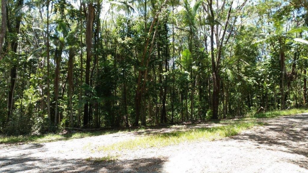 Lot 10 Andrew Road, Forest Creek,, Daintree QLD 4873, Image 2
