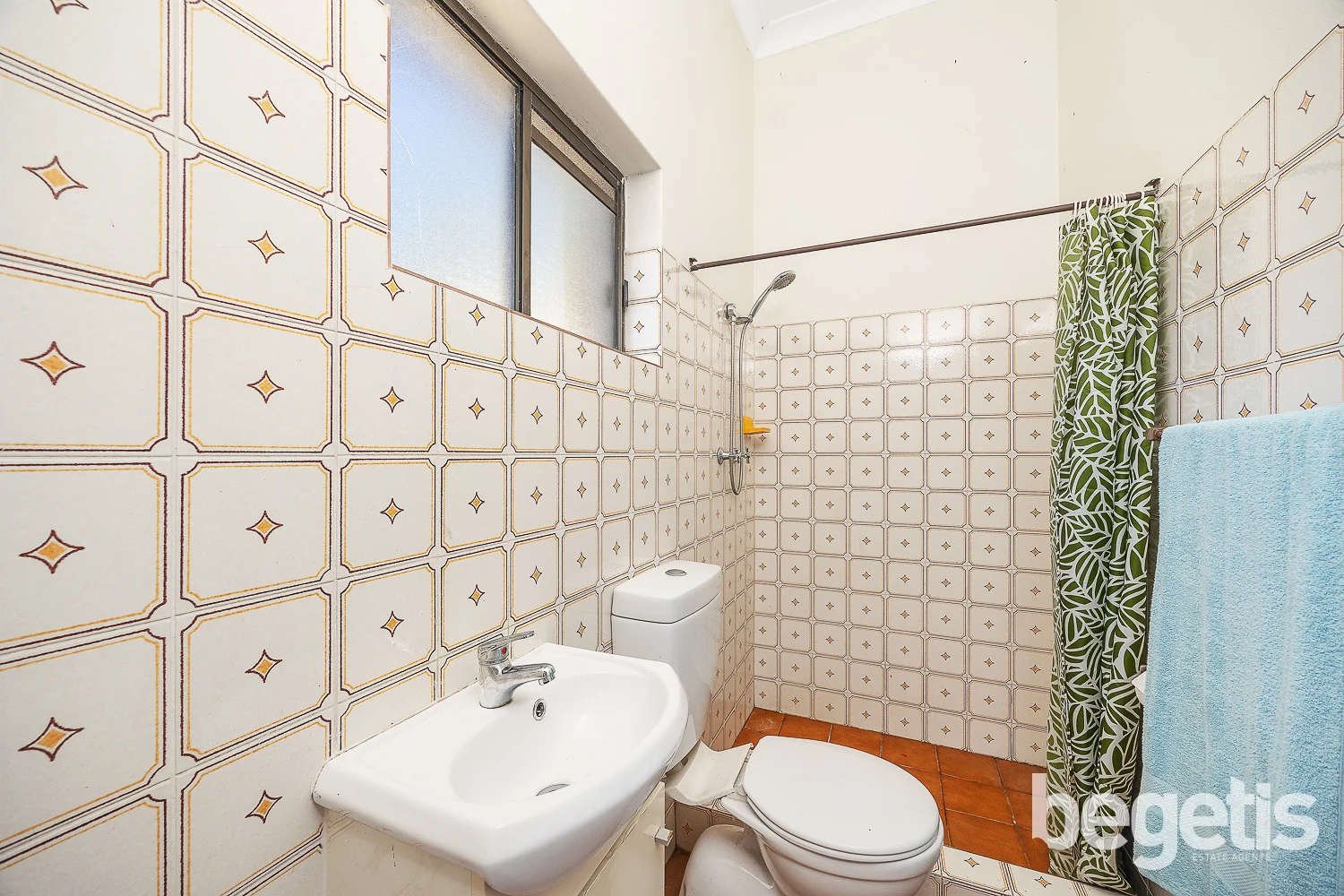 Additional image 7 of 11 Earle Avenue, Ashfield NSW 2131