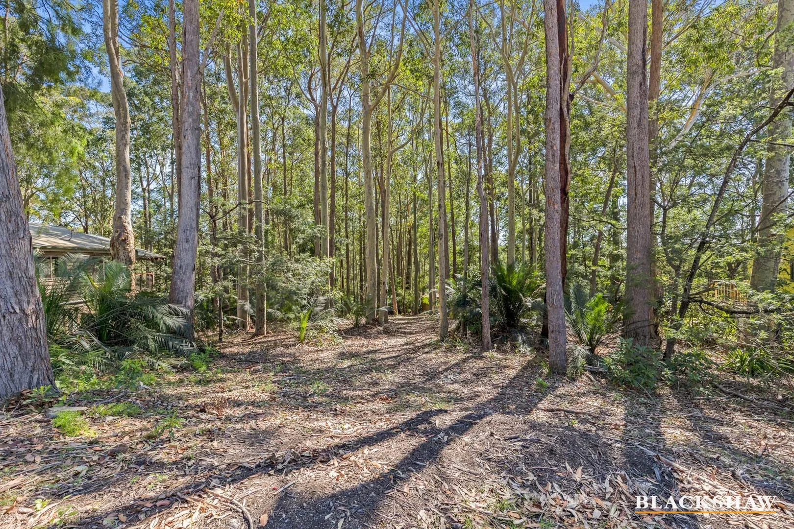 Additional image 4 of 7 Murramarang Crescent, South Durras NSW 2536