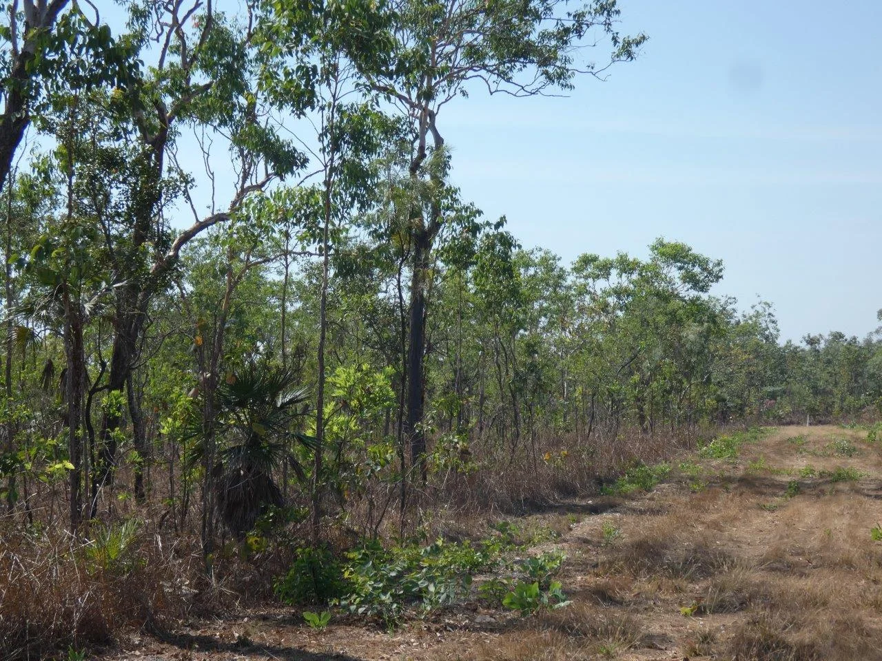 Additional image 7 of 2869/21 Mielang Road, Blackmore NT 0822