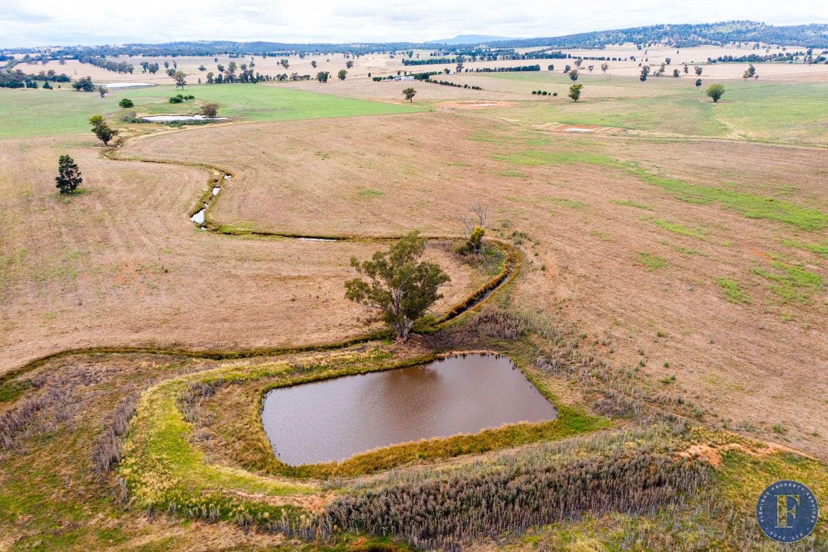 893 Deaths Lane, Grenfell NSW 2810, Image 2