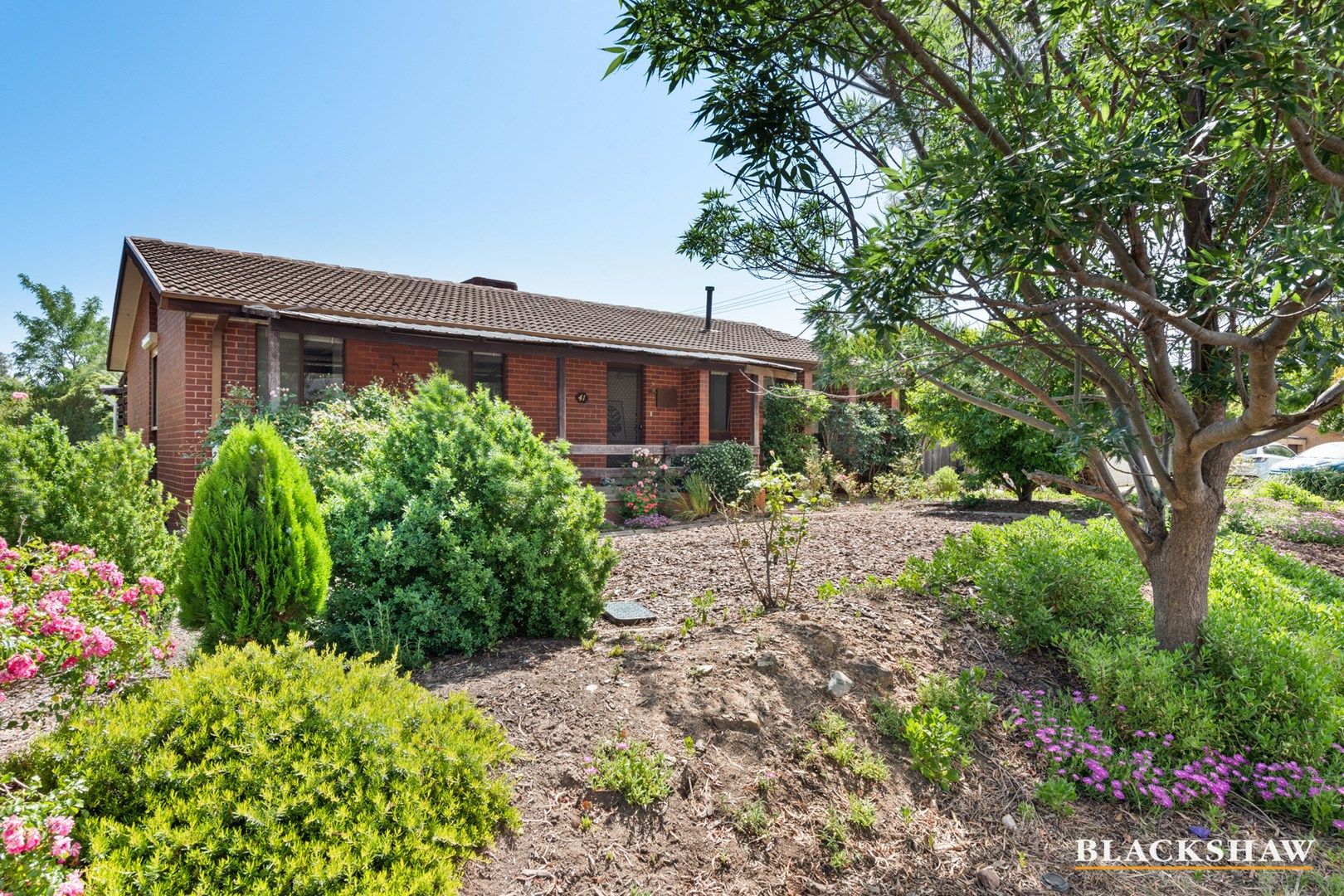 41 Bingle Street, Flynn ACT 2615, Image 0