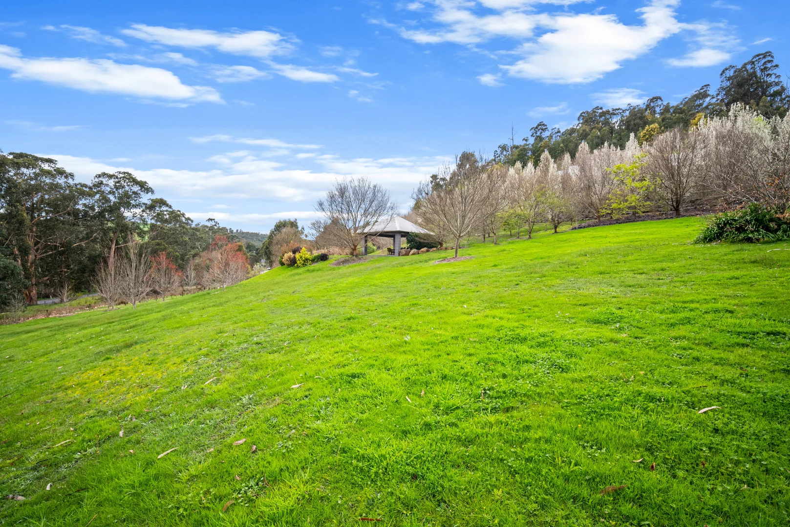 Additional image 39 of 1557 Traralgon Creek Road, Koornalla VIC 3844