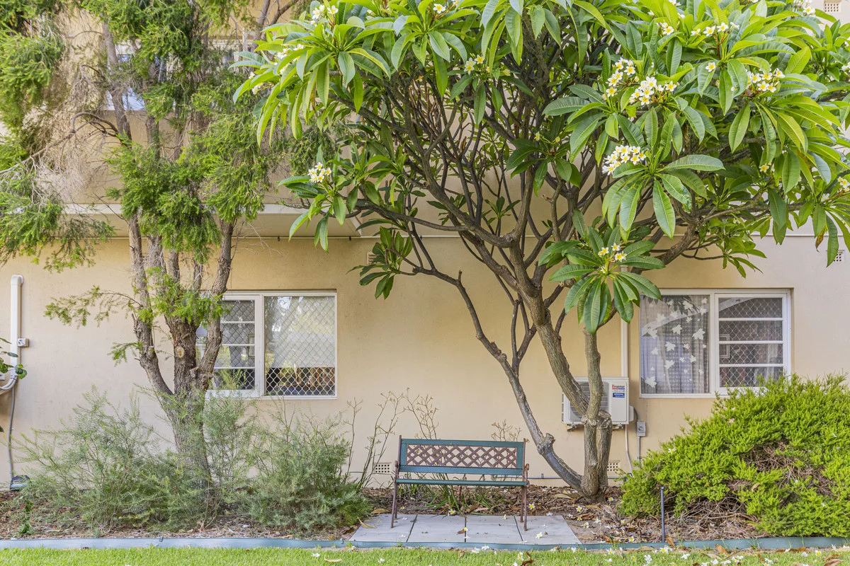 Additional image 7 of 23/45 Adelaide Terrace, East Perth WA 6004